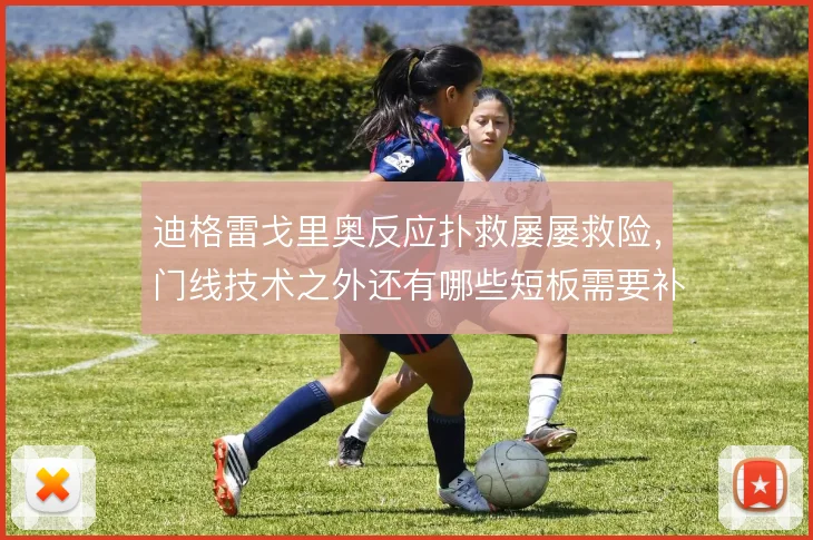 迪格雷戈里奥反应扑救屡屡救险,门线技术之外还有哪些短板需要补