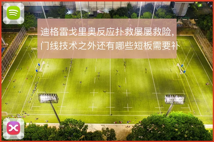 迪格雷戈里奥反应扑救屡屡救险,门线技术之外还有哪些短板需要补